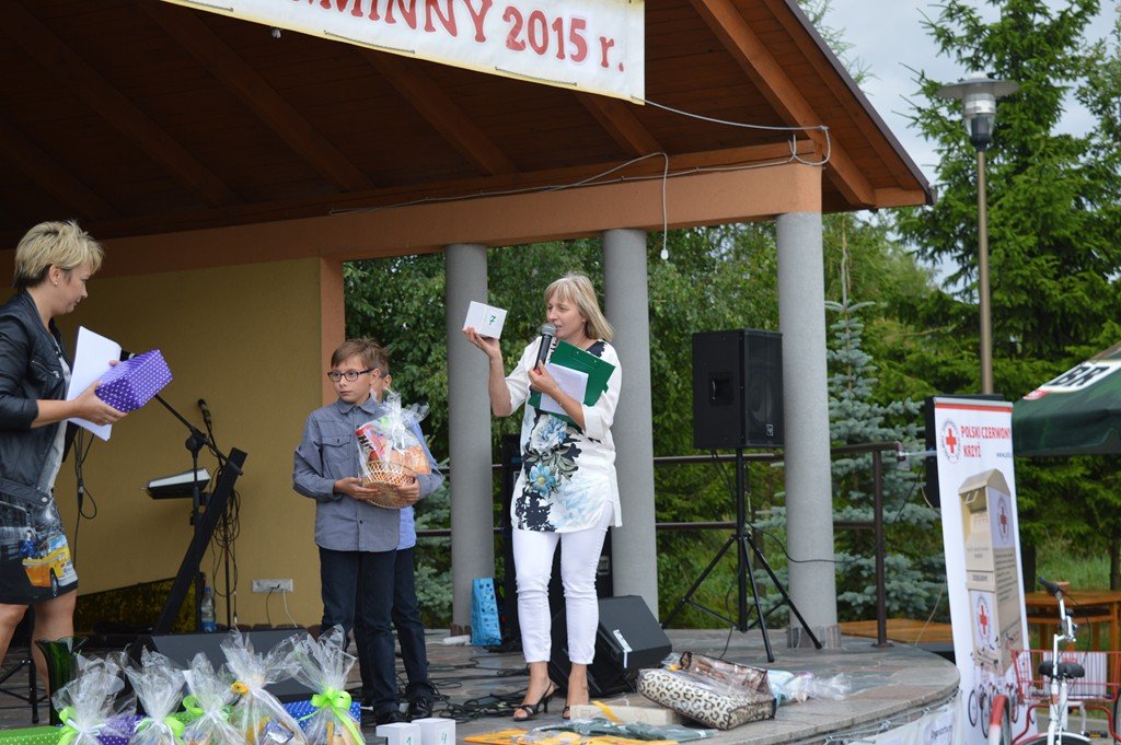 Festyn Gminny 2015 (38)